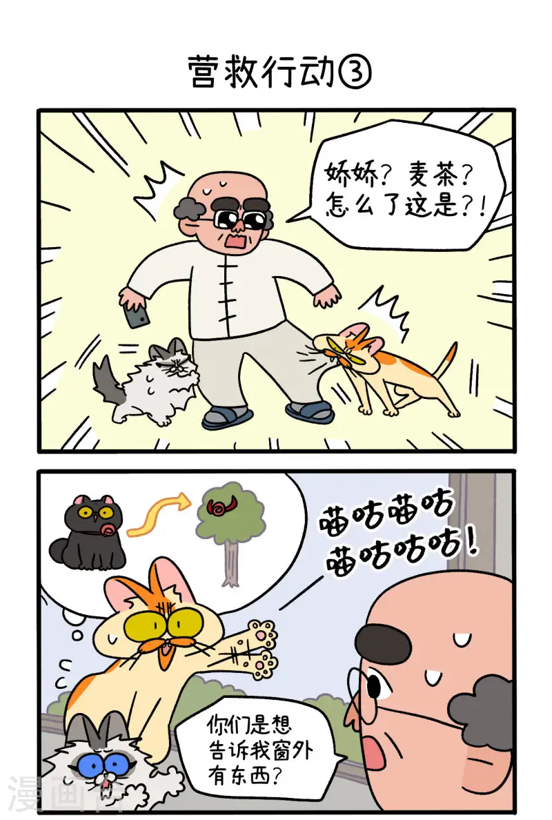 第44话1 营救行动3