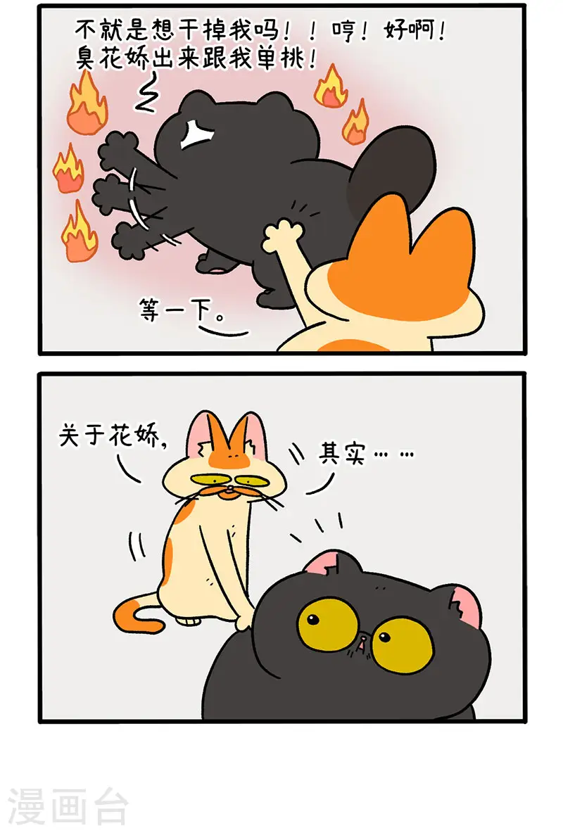 第49话1 真正的兄妹1
