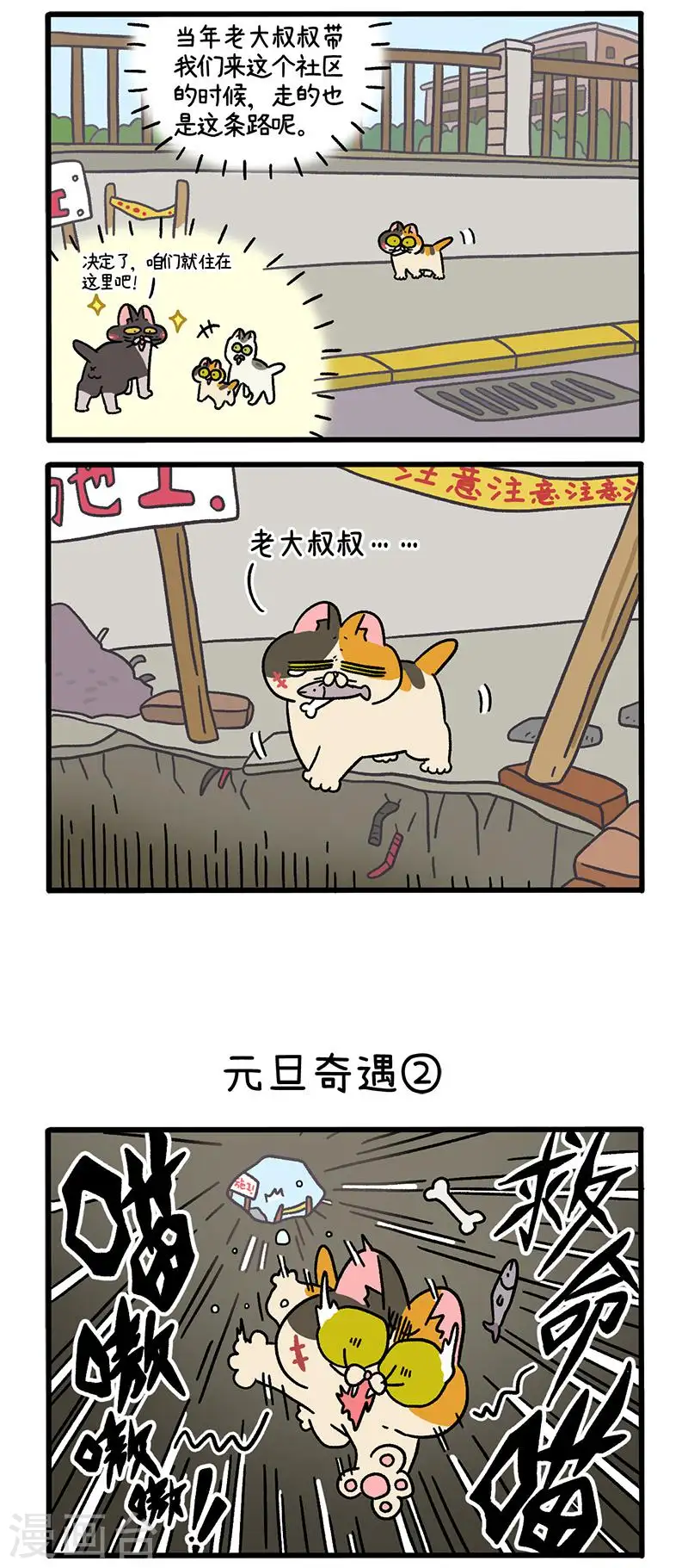 番外13上 元旦奇遇1