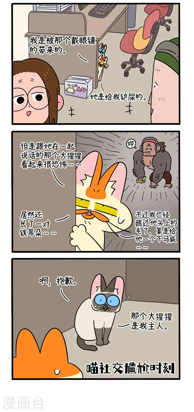 第66话2 公司的猫咪聚会21