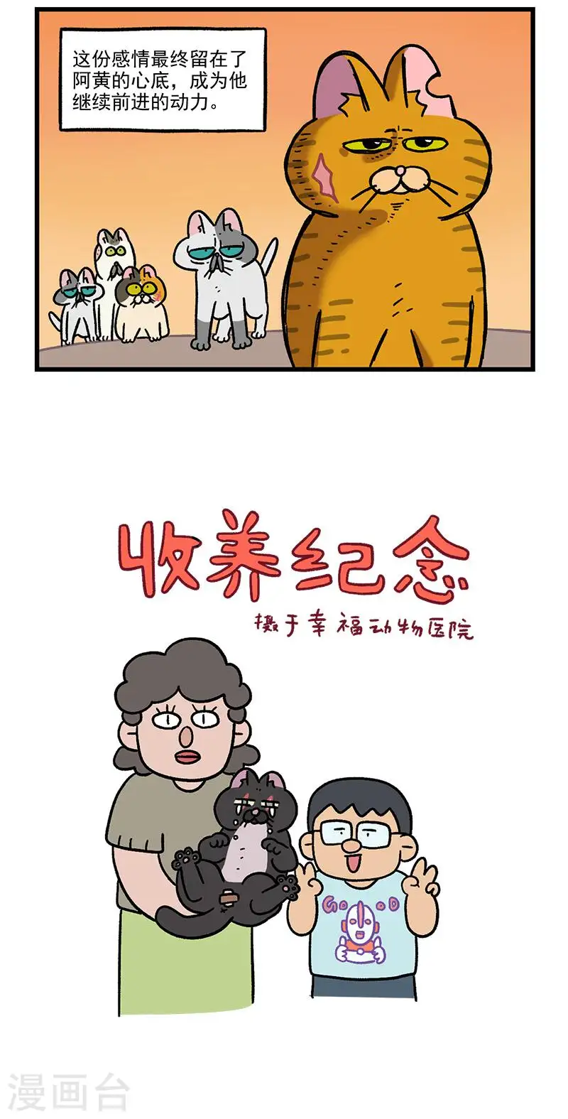 番外6 阿黄失恋了4
