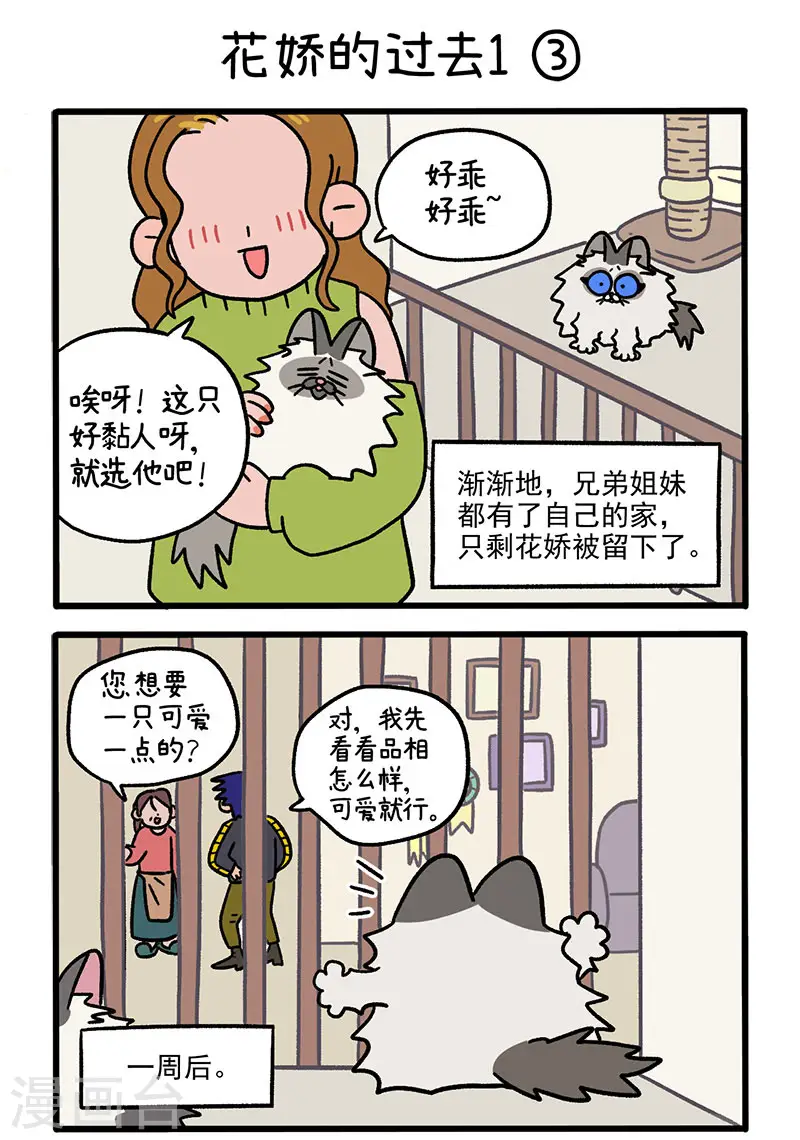 第47话1 花娇的过去3