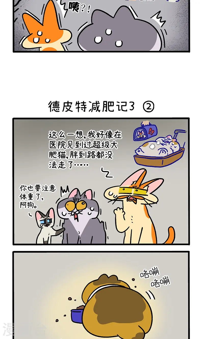 第134话1 德皮特减肥记32