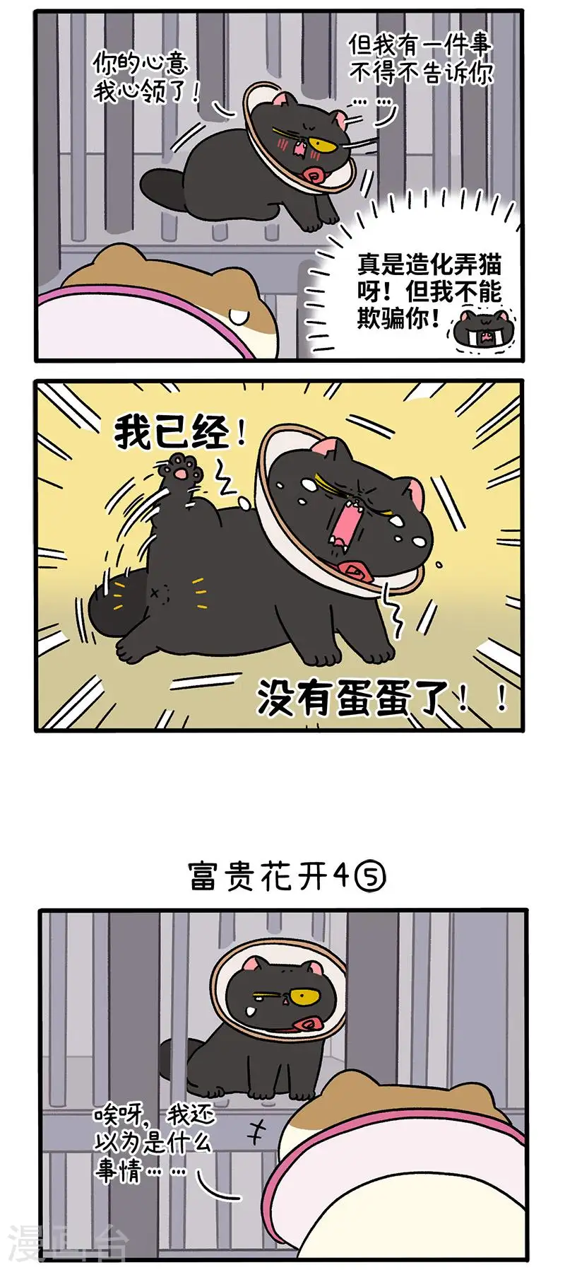番外24下 富贵花开41