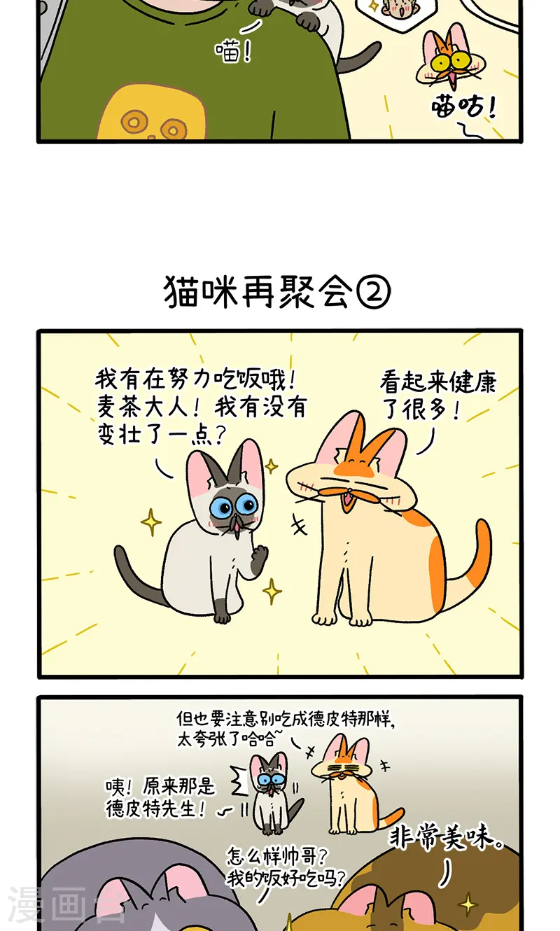 第82话1 猫咪再聚会2