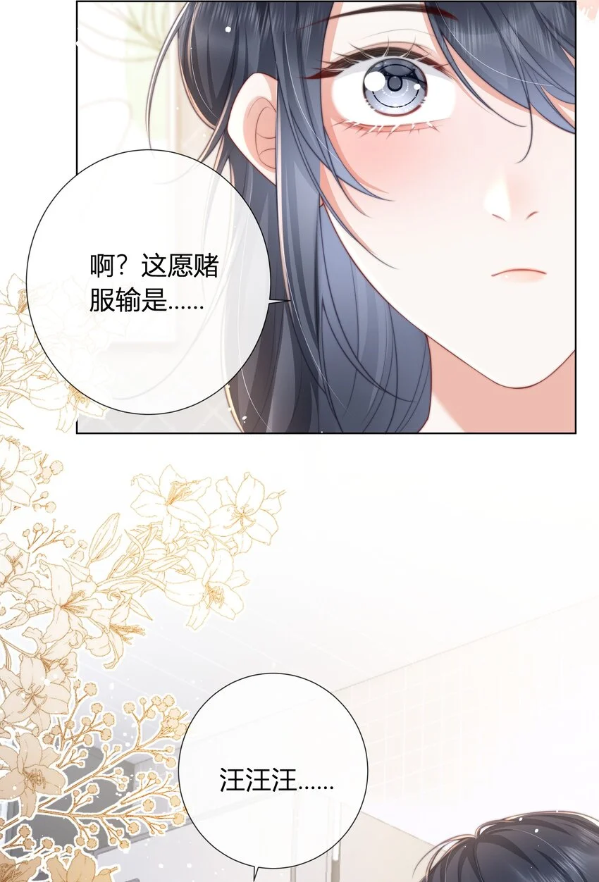 012 愿赌服输27