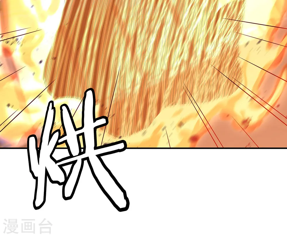 第251话 少宗主15