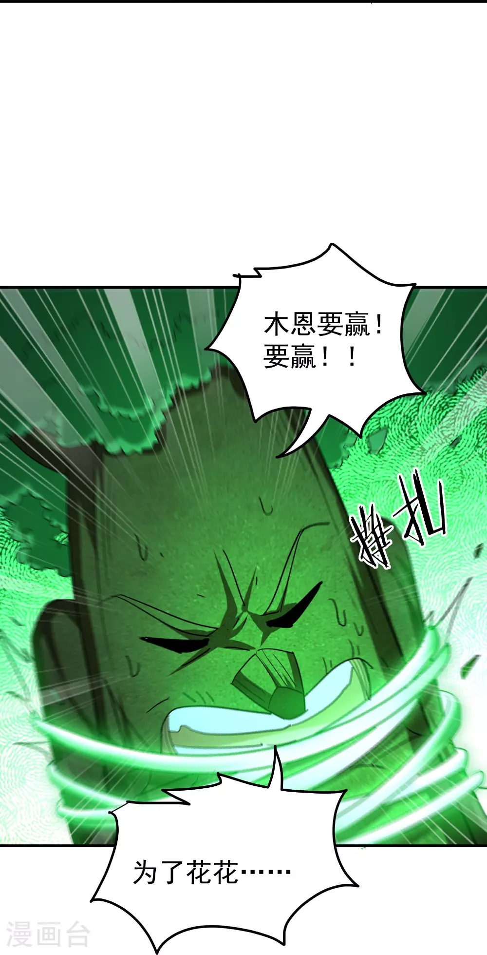 第220话 叶枫的全力一战17