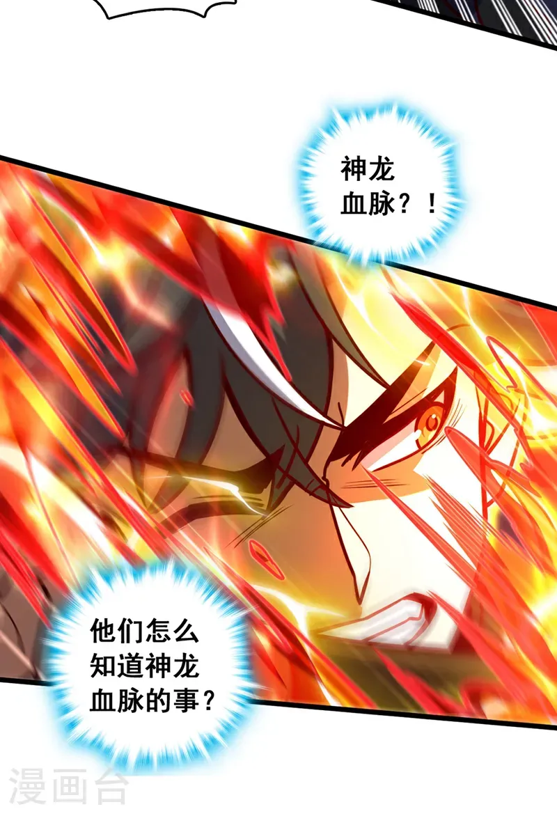 第70话 他们知道神龙血脉？4