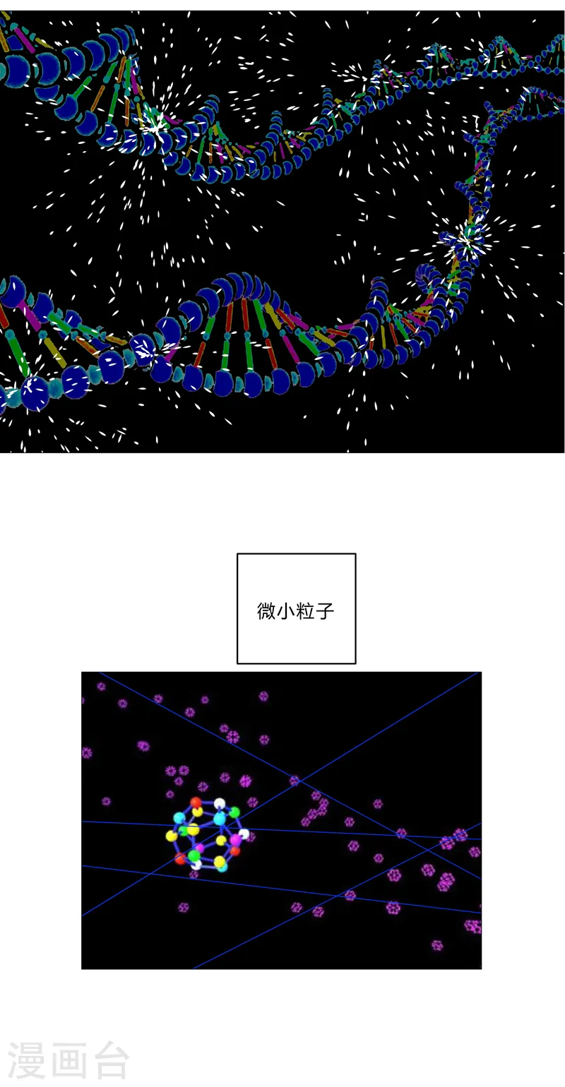 第117话 真的吗，我不信25