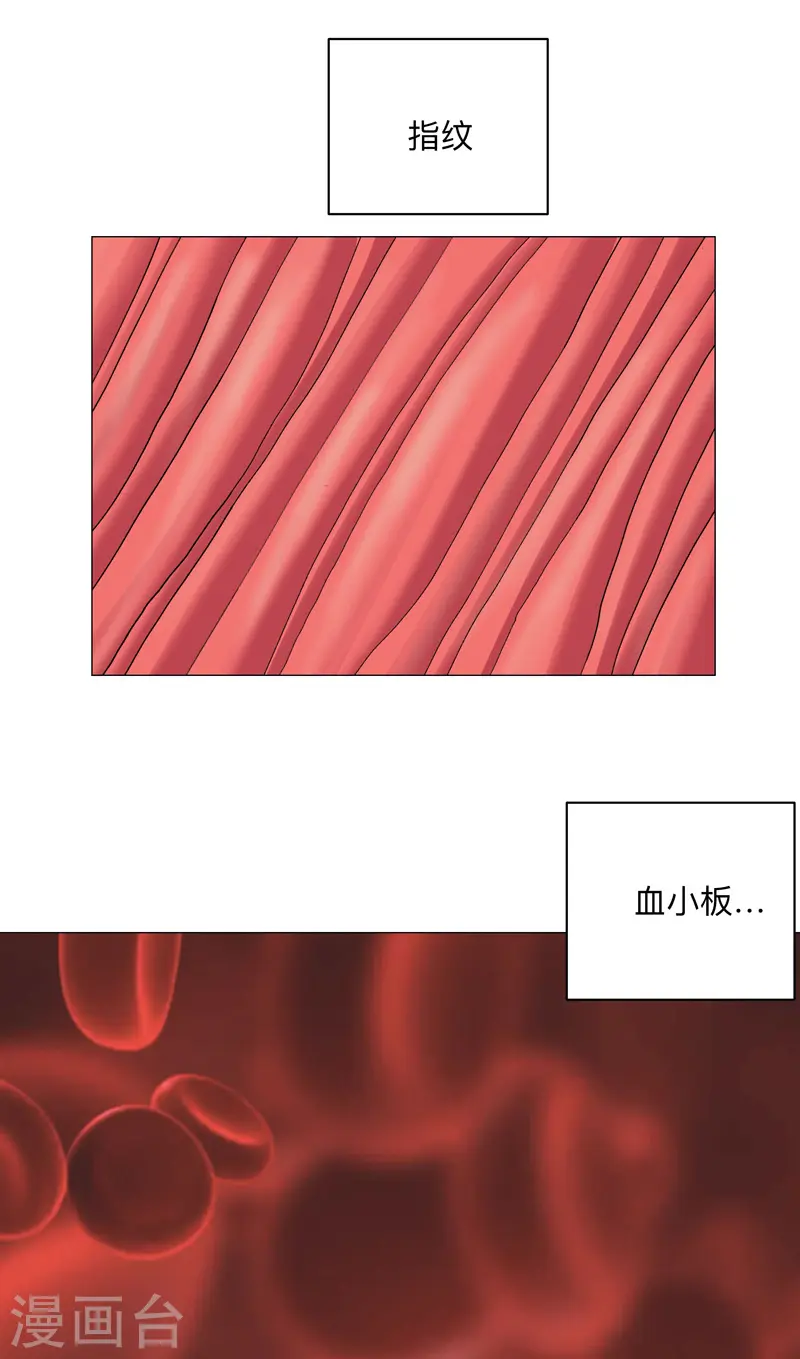 第181话 一个巴掌解决3