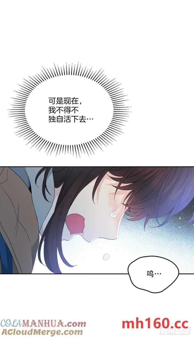 206.网络小说36