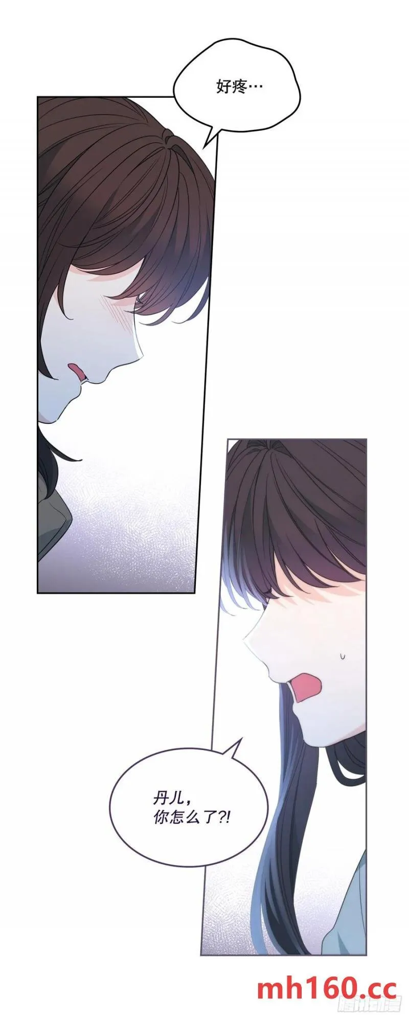 206.网络小说26
