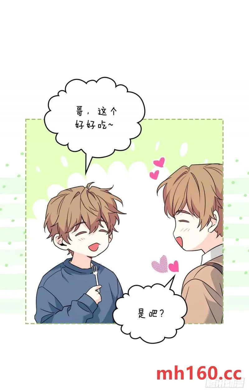 206.网络小说14