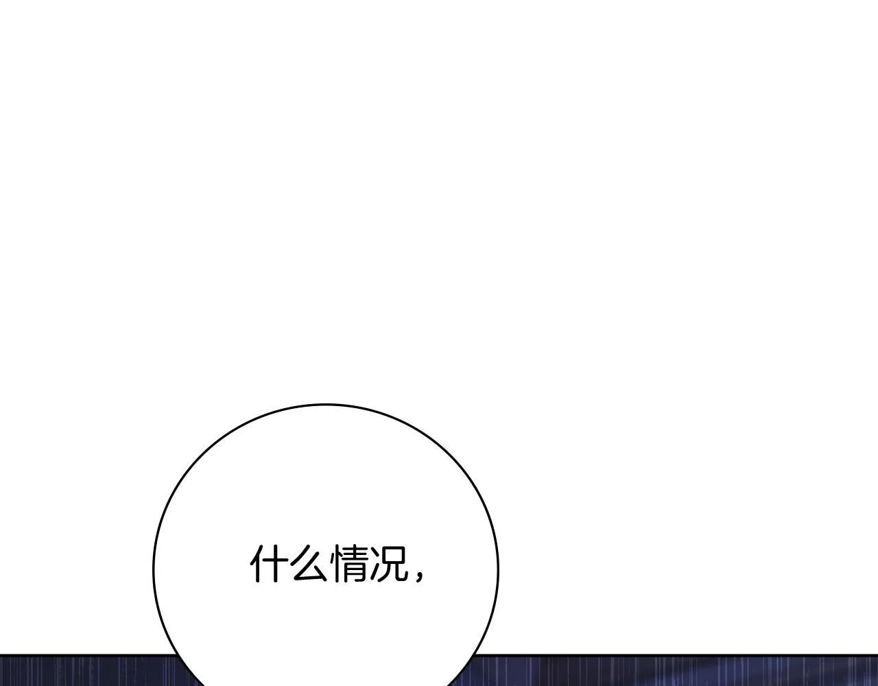 第19话 再度相遇4