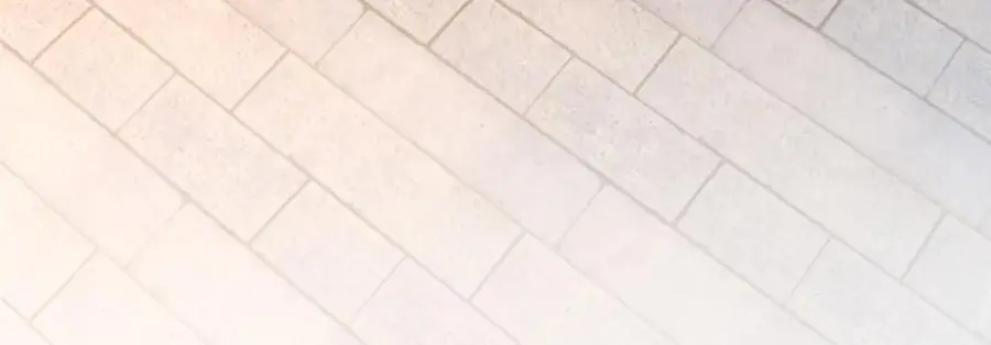 66 揭发99