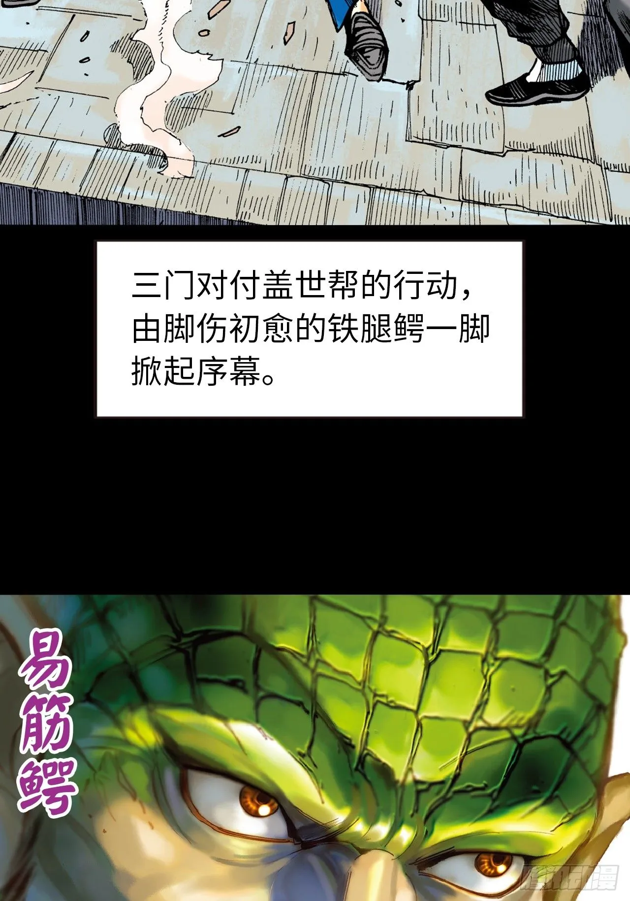 鹰王驾到9