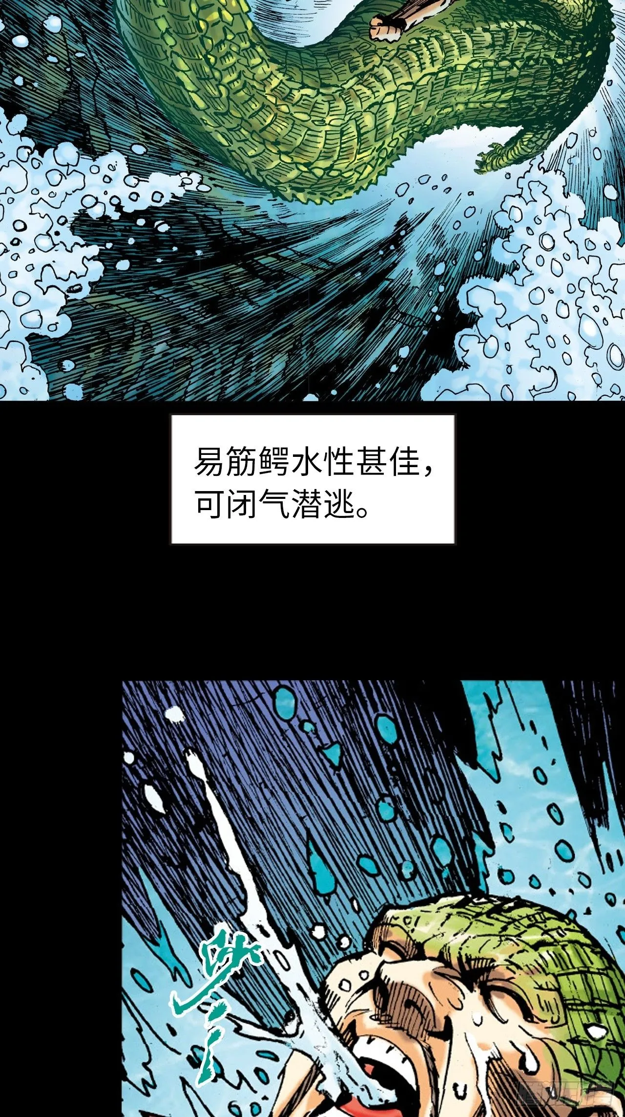 凶鳄仇29