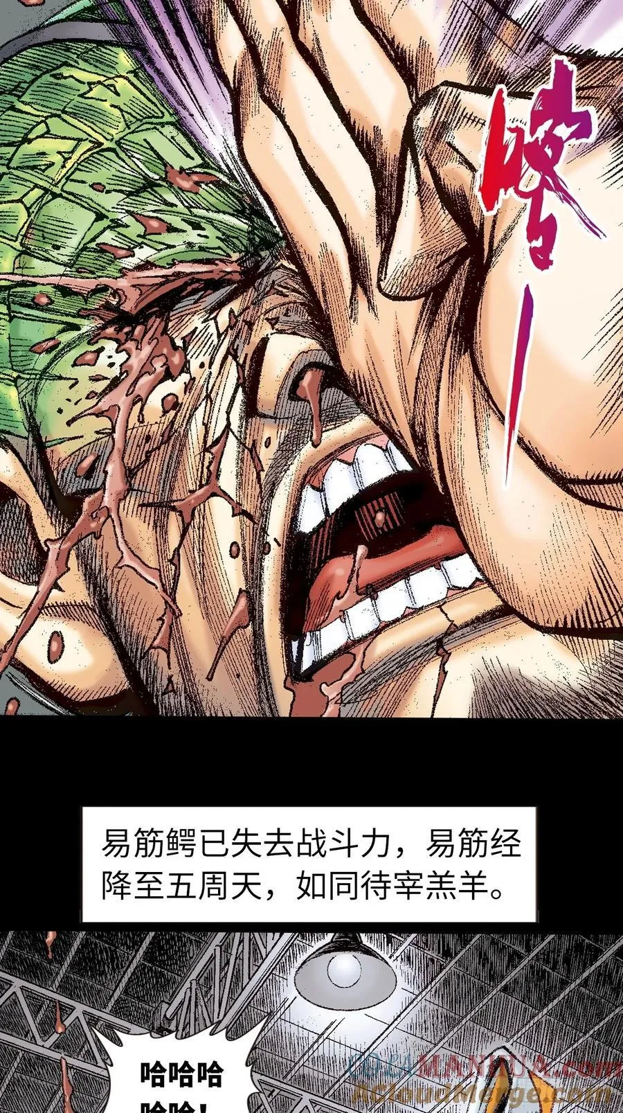 生㓥凶鳄12