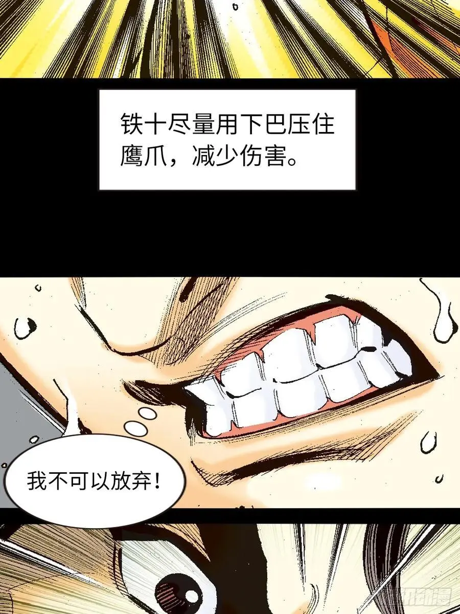 千岁鹰41
