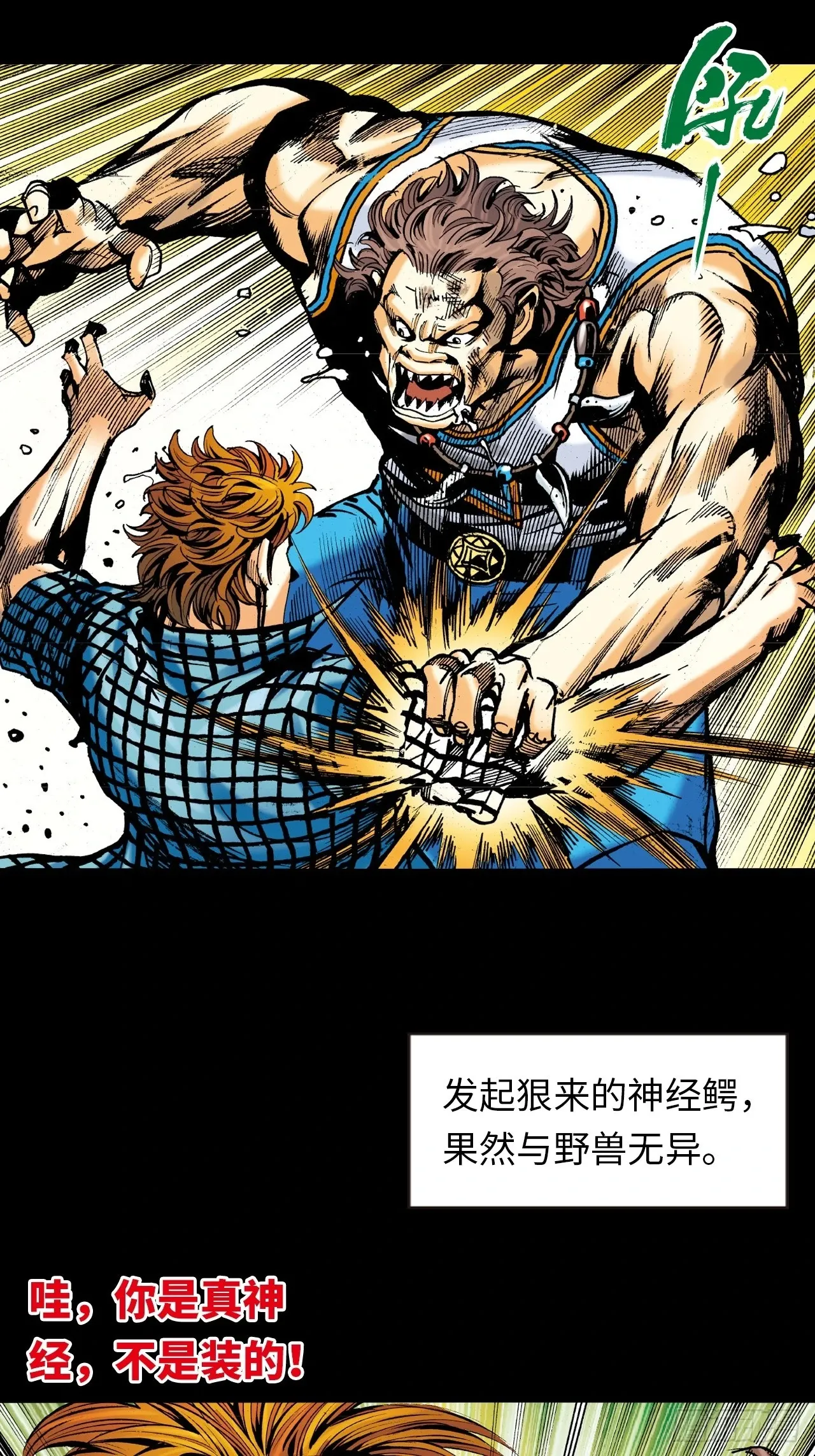 疯狂的战斗14