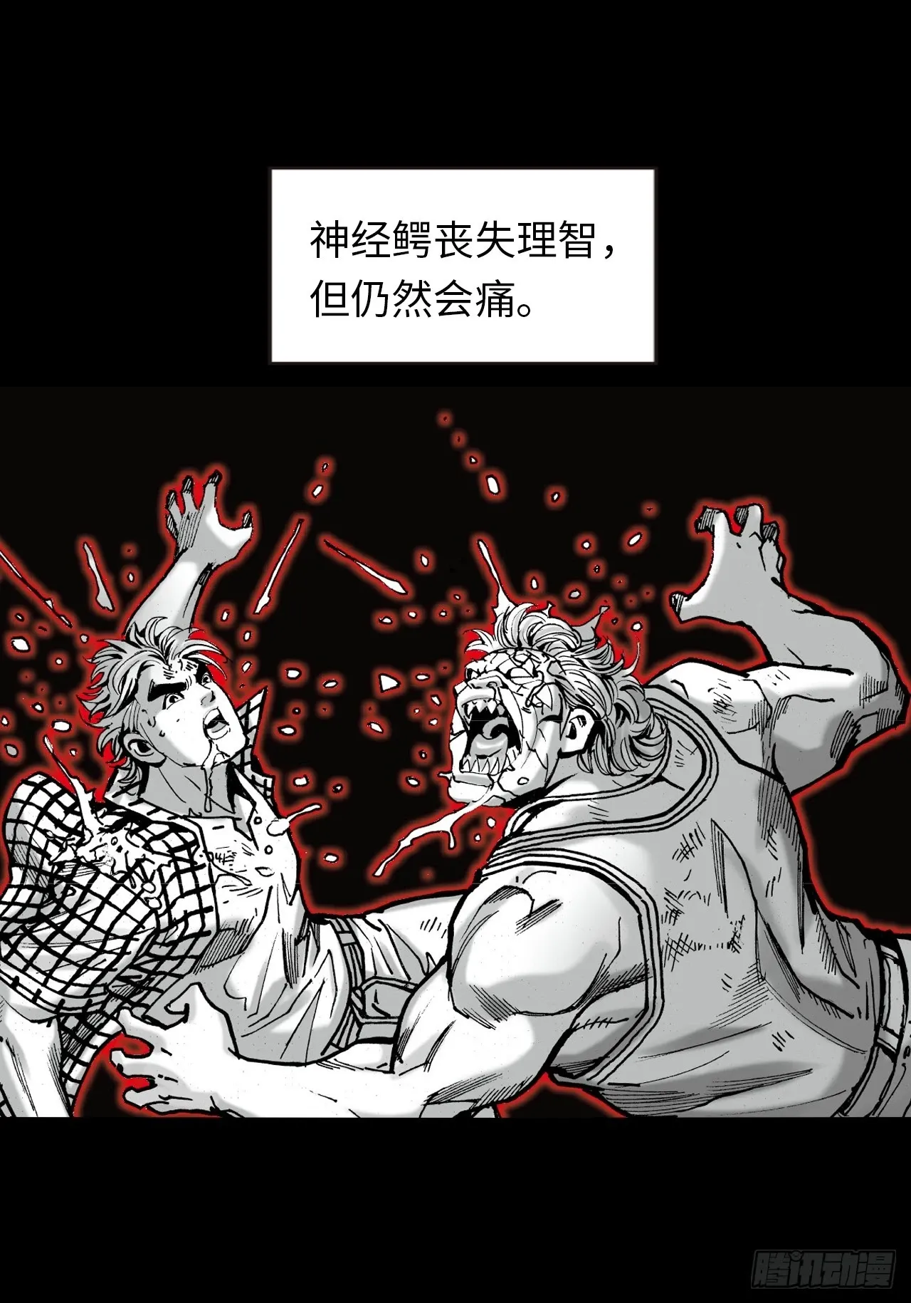 疯狂的战斗17