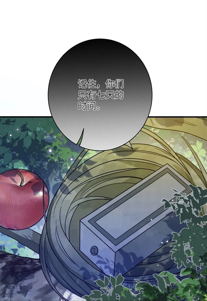 40 有人下药31