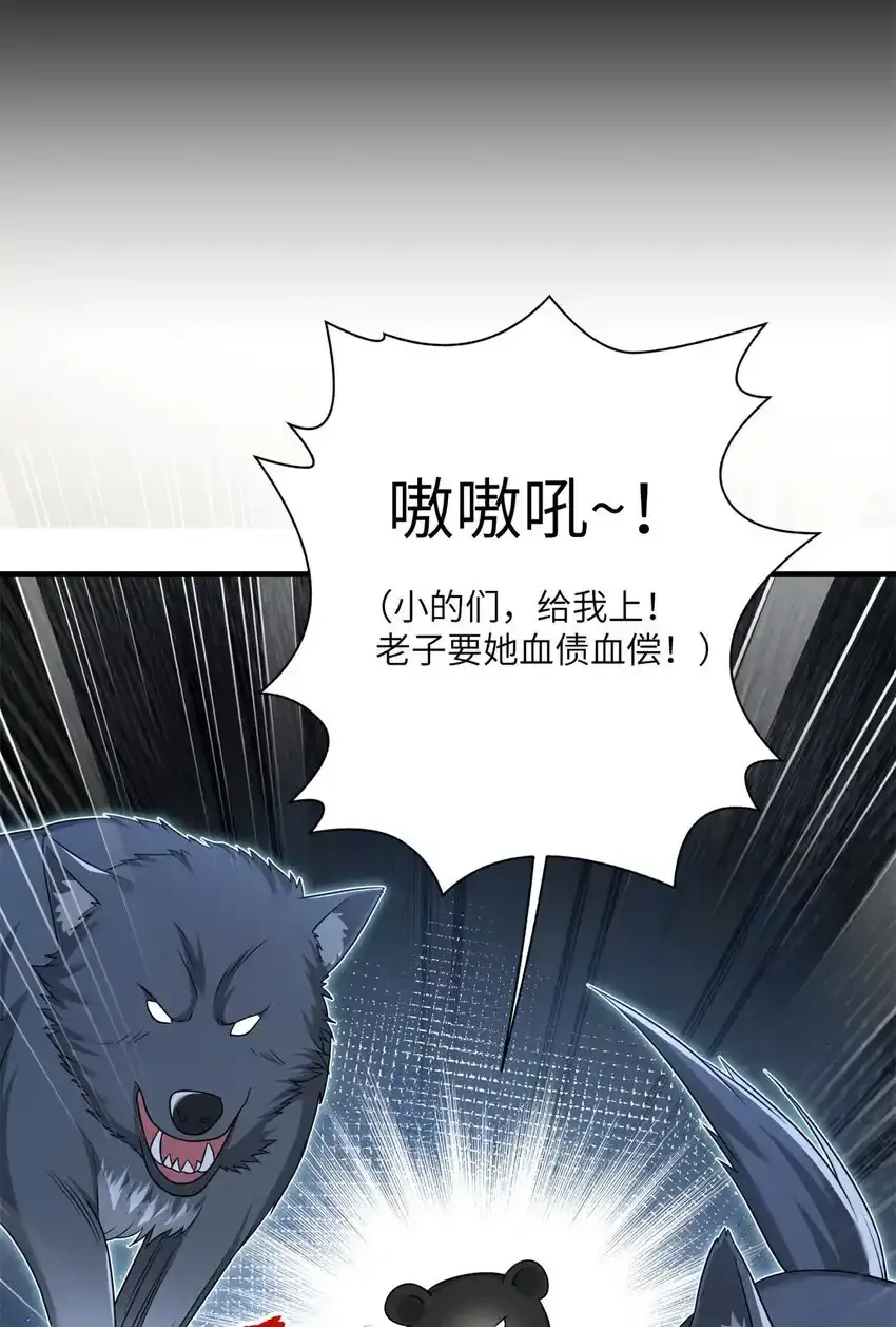 41 七七的弱点10