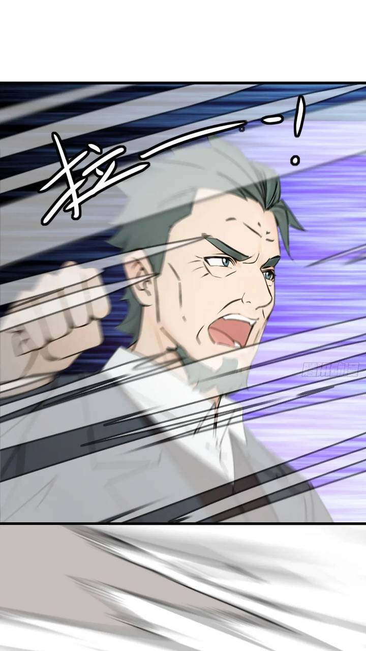 2733