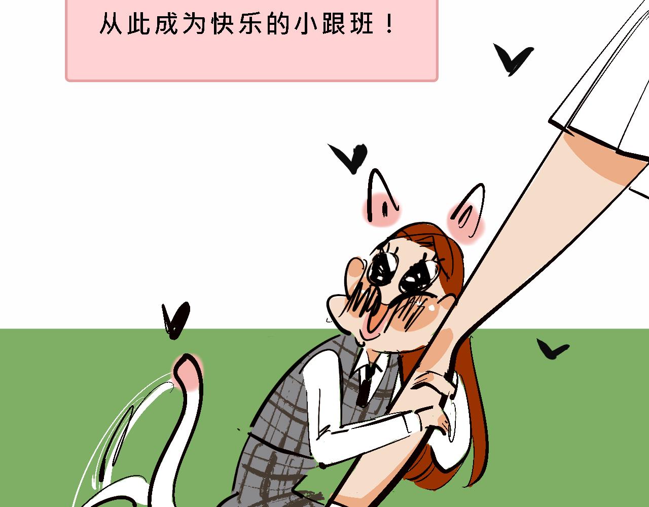 小跟班彩虹屁的第20年31