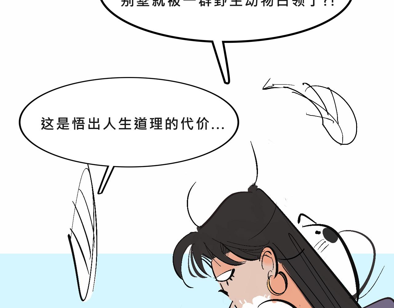 她们的自信无人可挡28
