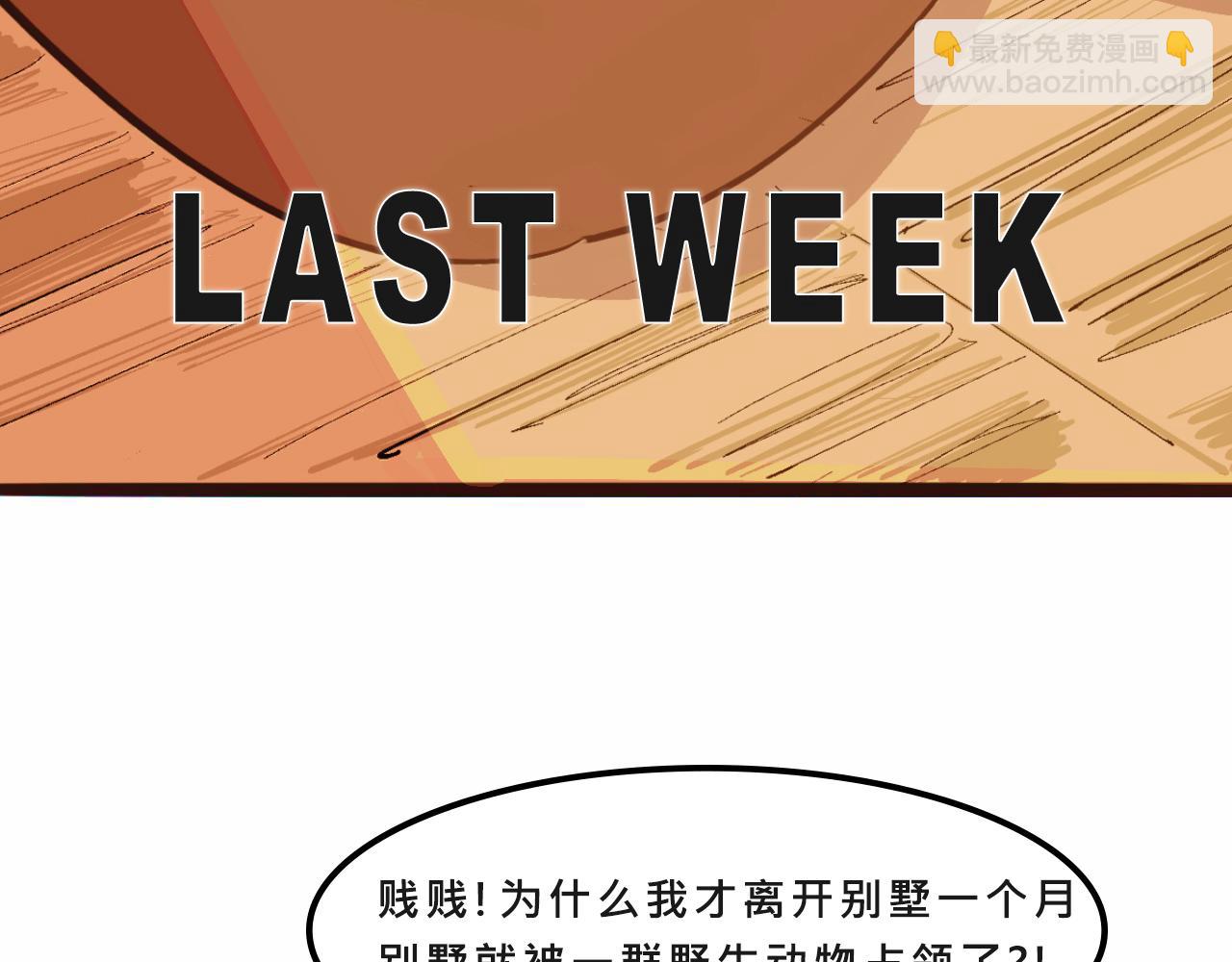 她们的自信无人可挡27