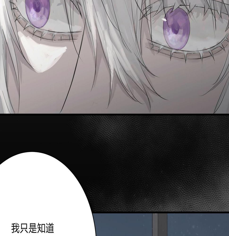 论文盗窃29