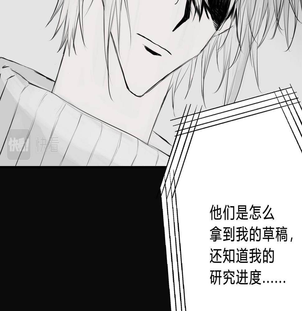 论文盗窃11