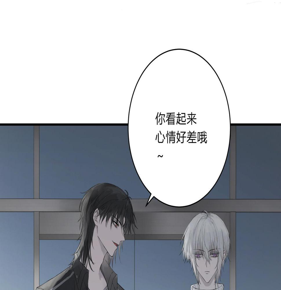 论文盗窃19