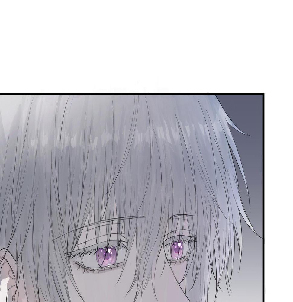 论文盗窃44