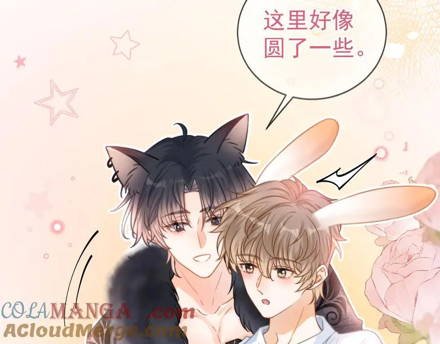 特典2 努力圈养小兔子36