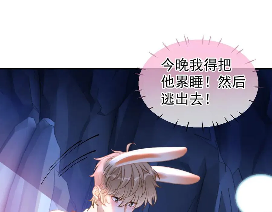 特典2 努力圈养小兔子41