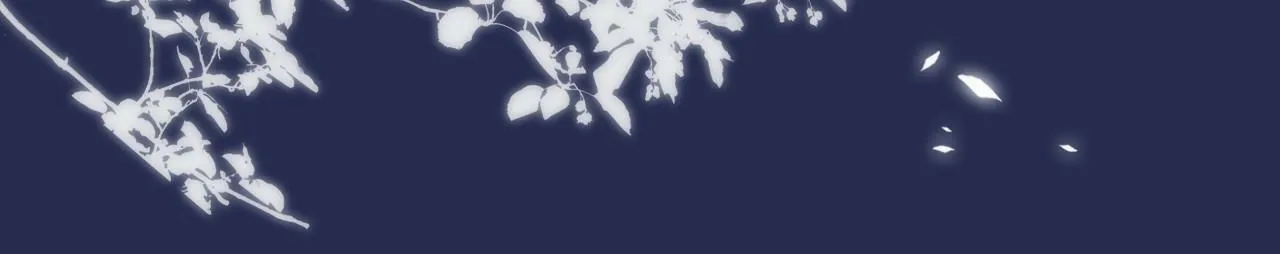 第3话 赌局41
