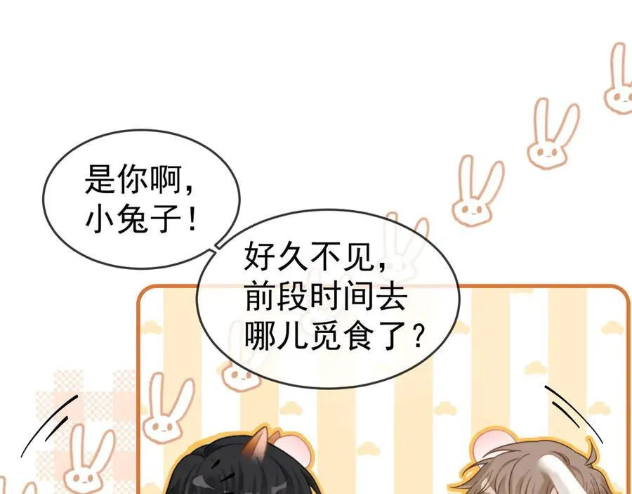 特典2 努力圈养小兔子75