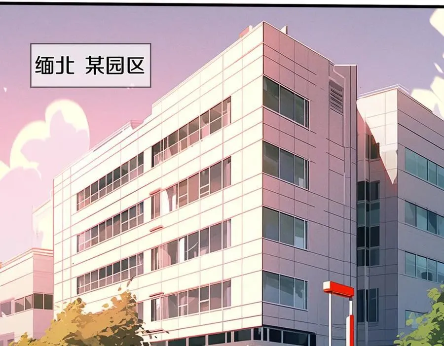 长途奔袭，缅北刀疤47