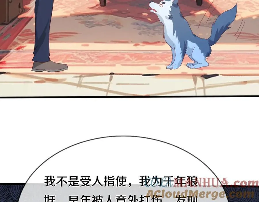 狼妖臣服，大师舔鞋27