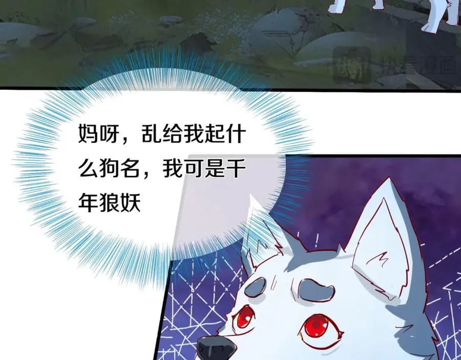 长途奔袭，缅北刀疤19