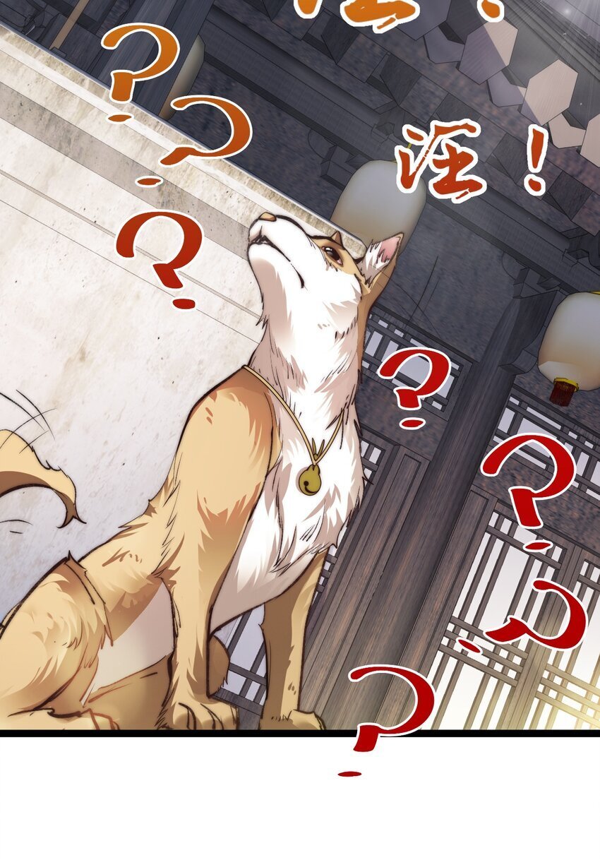 009 是谁在狗叫？35