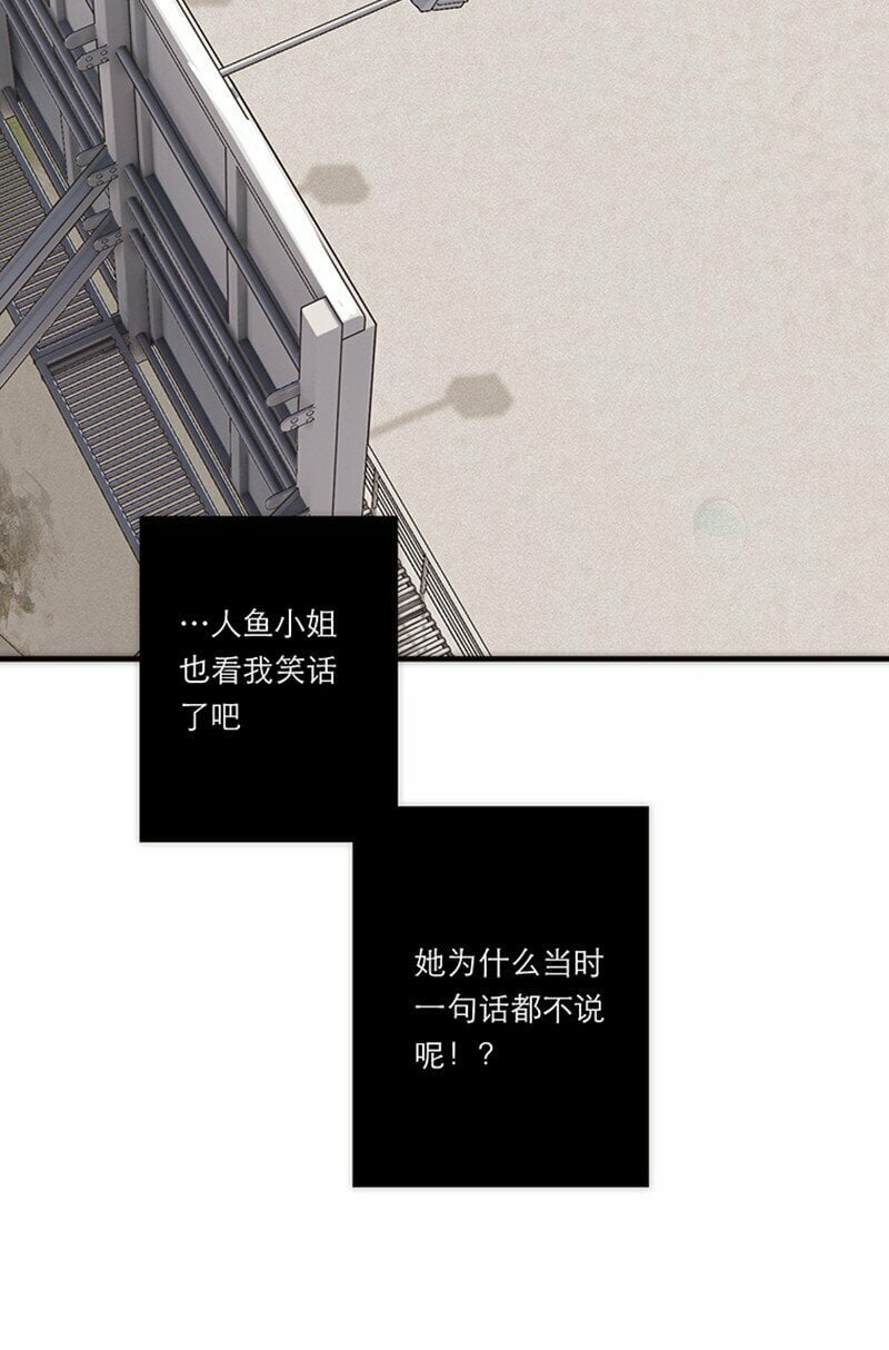 004 真相的皮14