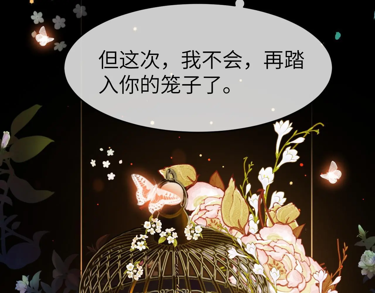 23 不会再迈入你的笼子30
