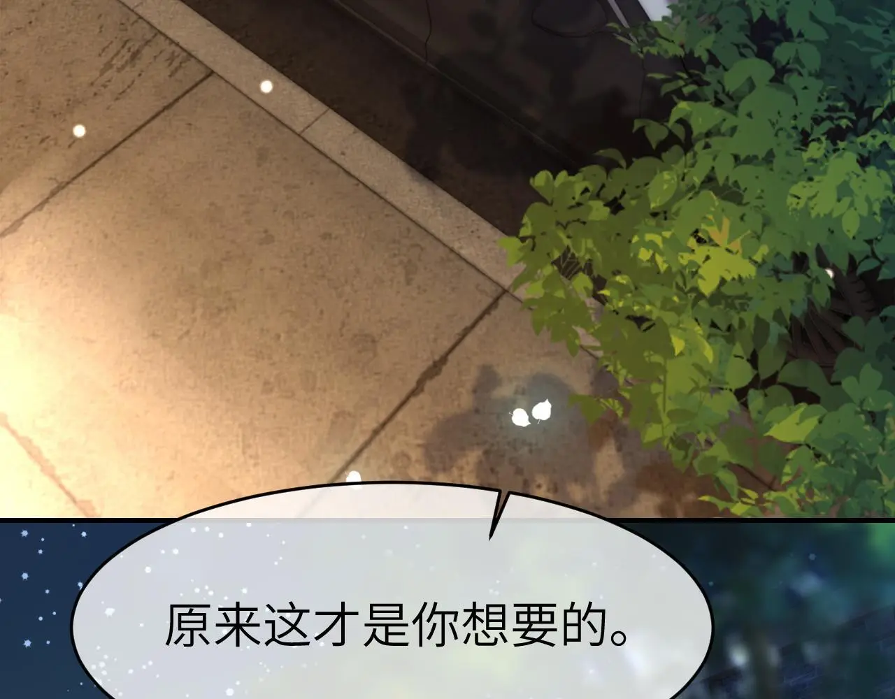 23 不会再迈入你的笼子10