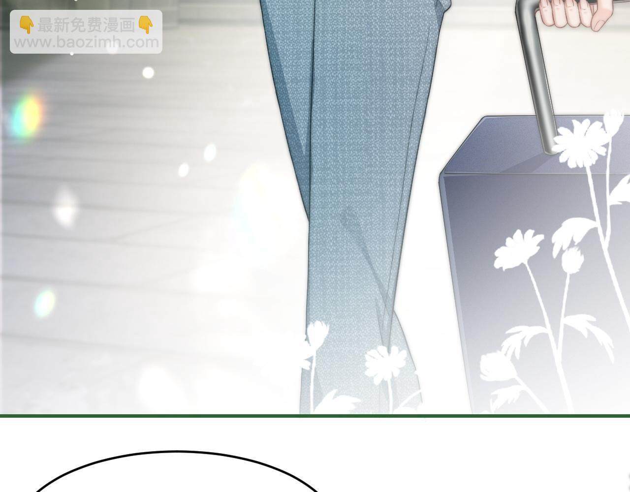 19 恋综上线40