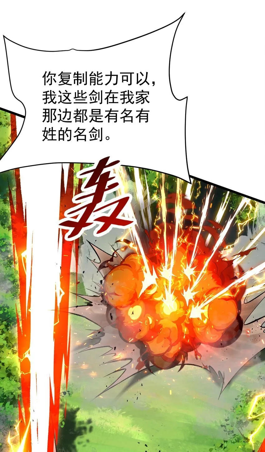066 复制能力24