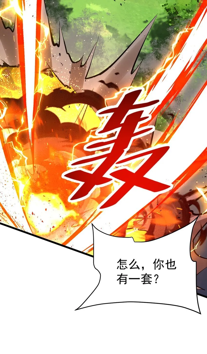 066 复制能力25